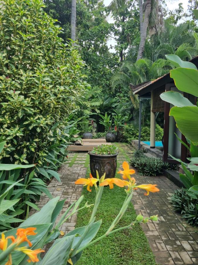 Villa Jati - Private Poolside Villa Central Lovina المظهر الخارجي الصورة